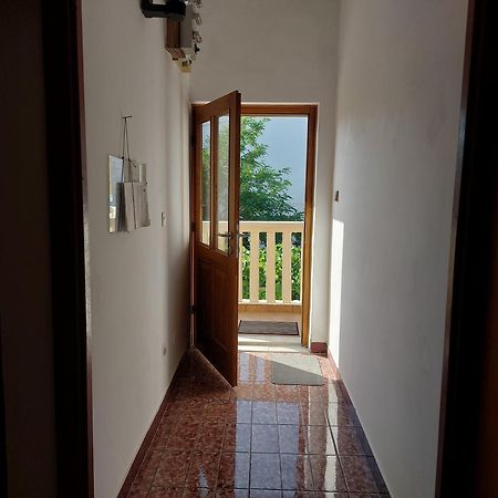 Studio-App Iva, Balcony With Sea View - 50 M From Beach 帕格 外观 照片